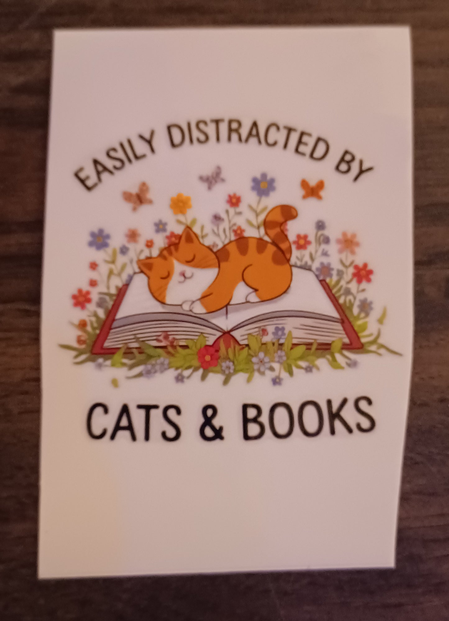 Cat an Books