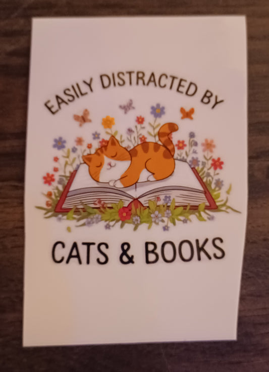 Cat an Books
